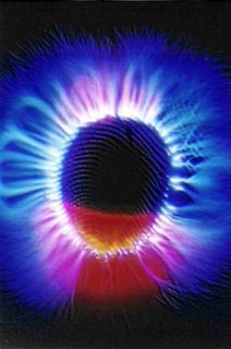 Curso de Fotograf�a Kirlian