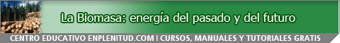 La Biomasa: energ&iacute;a del pasado y del futuro