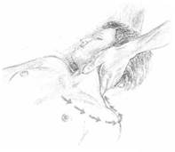 Iniciación al masaje: el arte del tacto - Curso gratis de enplenitud.com