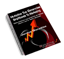 Multiplica tus ganancias simplificando tu marketing - Reporte estratégico