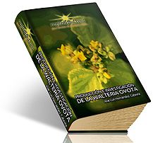 Producción e Investigación de la Walteria Ovota (LUCRACO) con fines terapéuticos