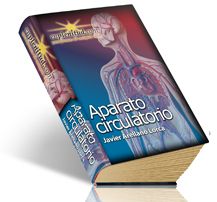 Aparato circulatorio